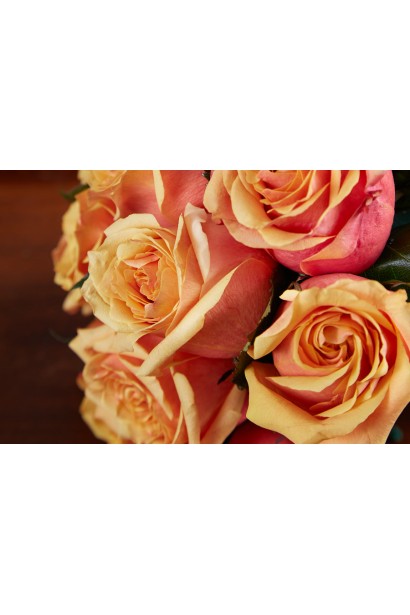 Троянда Черрі Бренді - помаранчеві бутони з винним відтінком ззовні 